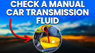 How To Check A Manual Car Transmission Fluid StepByStep Guide [upl. by Ainezey]