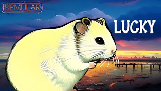 Bemular  Lucky the saddest hamster song in the world [upl. by Sset778]