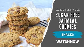 Sugar Free Oatmeal Cookies Recipe  Low Carb Recipe  Diabetic Oatmeal Cookies [upl. by Ahsiekel86]