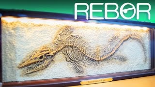 REBOR® Tylosaurus Proriger Charon Fossil Oddities 001  Light up display  Unboxing amp Review [upl. by Cy]