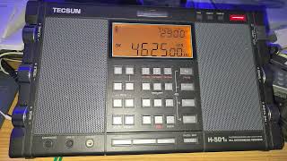 UVB76 Russian Buzzer 4625 kHz USB Shortwave received Tecsun H501x on MLA 30 loop antenna [upl. by Ahsikcin647]