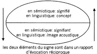 le signe linguistique avec Ferdinand de Saussure et la notion de valeur expliqué par un prof de FLE [upl. by Kay997]