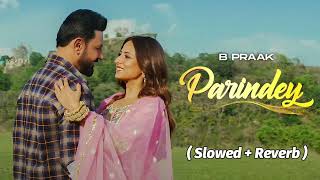 Parindey  B Praak  Latest Punjabi Songs 2024  Parindey B Praak Slowed And Reverb  Lofi Song [upl. by Bendix497]