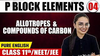 P BLOCK ELEMENTS 04  Allotropes amp Compounds of Carbon  Chemistry  Pure English Class 11NEETJEE [upl. by Scrivens]