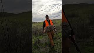 Hunting pheasants and chukars birdhunting hunters uplandhunting hunting chukarhunting hunt [upl. by Curry]