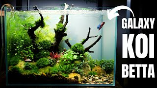 AQUASCAPE TUTORIAL Planted NANO BETTA TANK For a Special Betta [upl. by Harbison881]