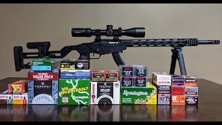 Ruger Precision Rimfire 22lr Ammo Comparison Part 1 [upl. by Virgie513]