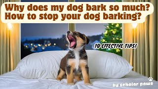 10 Tips to Stop Your Dog from Barking Too Much dog dogtraining barking dogowner pettips [upl. by Ameerahs]