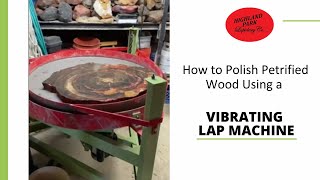 How to Polish Petrified Wood Using a Vibrating Flat Lap Machine [upl. by Landre]