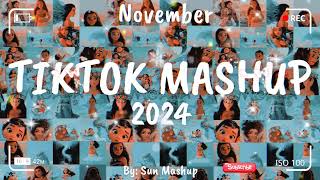 Tiktok Mashup November 💙2024💙 Not Clean [upl. by Melissa]