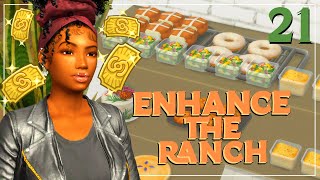 WERE RICHHHH 🧡ENHANCE THE RANCH🧡21🐎 The Sims 4 [upl. by Tronna]