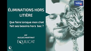 FacebookLive sur les éliminations hors litière du chat par Hugues Martinat comportementaliste félin [upl. by Powers886]