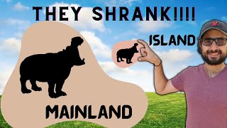 Insular Dwarfism  Why some animals shrink on islands [upl. by Domini229]