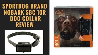 SportDOG Brand NoBark SBC 10R Dog Collar Review [upl. by Dnalrah481]