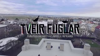 Munstur  Tveir fuglar Official Video [upl. by Nirtiak]