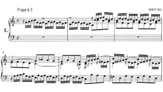 J S Bach  Fugue in C Major BWV 952 Organ [upl. by Raina]