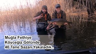 Muğla Köyceğiz Gölünde tam 40 tane sazan yakaladık ve saldık sazan sazanavı boilies [upl. by Neryt]