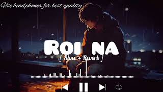 Roi Na Lofi song  SlowedReverb   ninja ‎LOFIMusic0304 [upl. by Mimi]