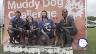 Sign up for the Muddy Dog Challenge 2017 [upl. by Ennovehs]