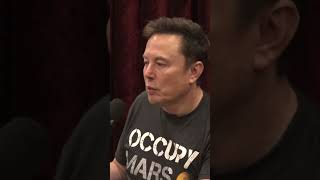 Elon Musk on Trump Liz Cheney Comments 🇺🇸 trump election2024 shorts [upl. by Irahc152]