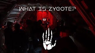 Oats Studios  What is Zygote [upl. by Canada7]