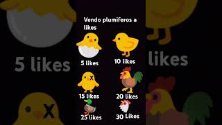 Vendo plumiferos a likes [upl. by Einotna]