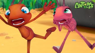 Joey And Boo Go On A Big Trip  🐛 Antiks amp Insectibles 🐜  Funny Cartoons for Kids  Moonbug [upl. by Graniah]