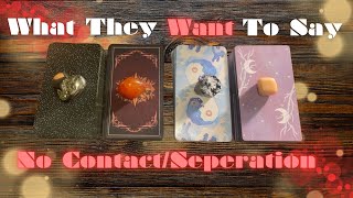 What They Want To Say To YOU 🥺🫢💔BlockedNo Contact Separation  Timeless InDepth Tarot Reading [upl. by Medin]