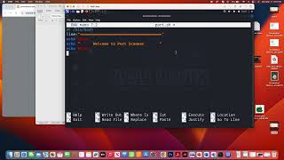 Port Scanner Using Bash Scripting [upl. by Laehpar236]