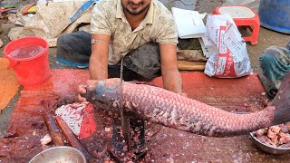 Amazing Live Glass Cup Fish Cutting Skills  Sola Fish Cutting By Expert Fish Cutter In Bangladesh [upl. by Kcirdahc]