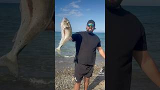 Surfcasting sicily surfcasting fisherman fishing fish fishingvideo fishinglife [upl. by Tol497]