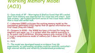 Working Memory Model [upl. by Leonidas]