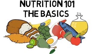 Basic Nutrition and Macro  Nutrients Video Animation by Train With Kane [upl. by Otreblanauj]