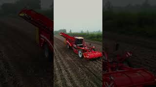 grimme varitron kartoffeln knollen potato roden ernten harvest farming ropa evo280 ernte [upl. by Lhamaj708]