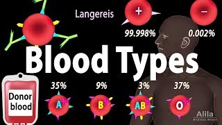 Blood Types Blood Group Systems and Transfusion Rule Animation [upl. by Ainegul]