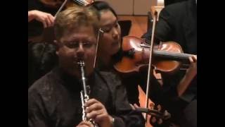 WA Mozart Clarinet Concerto K 622 II Adagio [upl. by Wandis465]