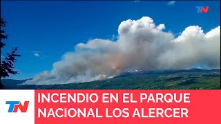 Se incendia el Parque Nacional Los Alerces en medio de las altas temperaturas en la Patagonia [upl. by Fotzsyzrk]