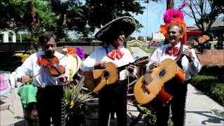 Silverado Ranch presents Ernestos Mariachis Music [upl. by Hana625]