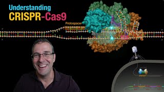 Understanding CRISPRCas9 [upl. by Ehman]