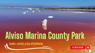 Exploring California  Alviso Marina County Park Salt Lake  Bay Areas Best Kept Secret [upl. by Pickard]