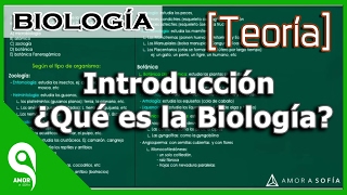 Biología │Introducción ¿Qué es la Biología MEJORADO [upl. by Blankenship784]