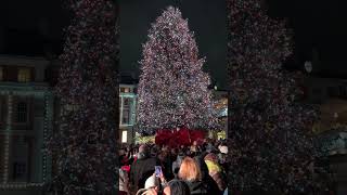 12 November Covent Garden  London [upl. by Ahsilrac778]