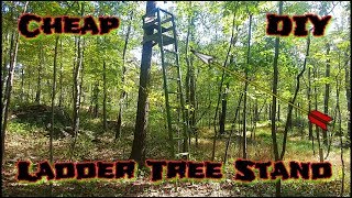 Cheap 🔨 DIY 🔨 Ladder Tree Stands 2x4s [upl. by Torrie188]