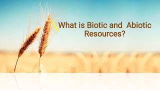 What is Biotic and Abiotic resources in Hindi [upl. by Mercie]