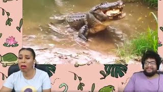 TierZoo Are Crocodiles OP ft Chavezz [upl. by Eelime]