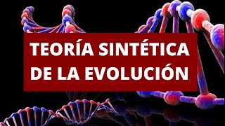 TEORÍA SINTÉTICA DE LA EVOLUCIÓN [upl. by Pardew]