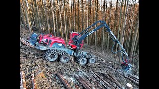 🌲CabView • Komatsu 931XC amp Ritter Winch • HarvesterAction • Forst Van Den Nagel • Loggingvideo🌲 [upl. by Enna]