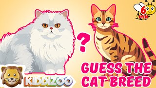 Guess the Cat Breeds Quiz for Kids  5second Animal Guessing Game [upl. by Clim886]