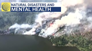 Dealing with mental health post natural disaster [upl. by Ordnagela458]