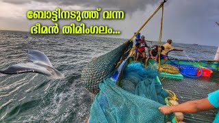 ദൈവമേ ഭീമൻ തിമിംഗലം ബോട്ടിനരികിൽ  Giant Whale Encounter In Indian Ocean  Ep1 Deep Sea Fishing [upl. by Carolyne]